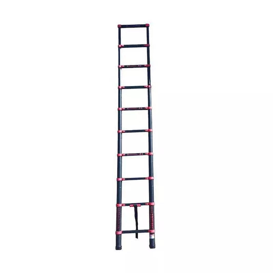 Suskleidžiamos kopėčios 2,9 m
